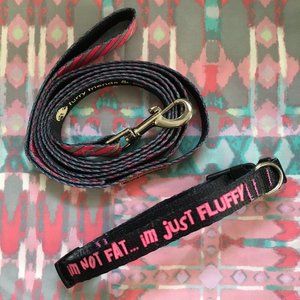 NWOT Furry Friends & Co. Small Leash and Collar